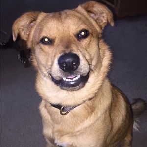 Meet your Posher, Brady